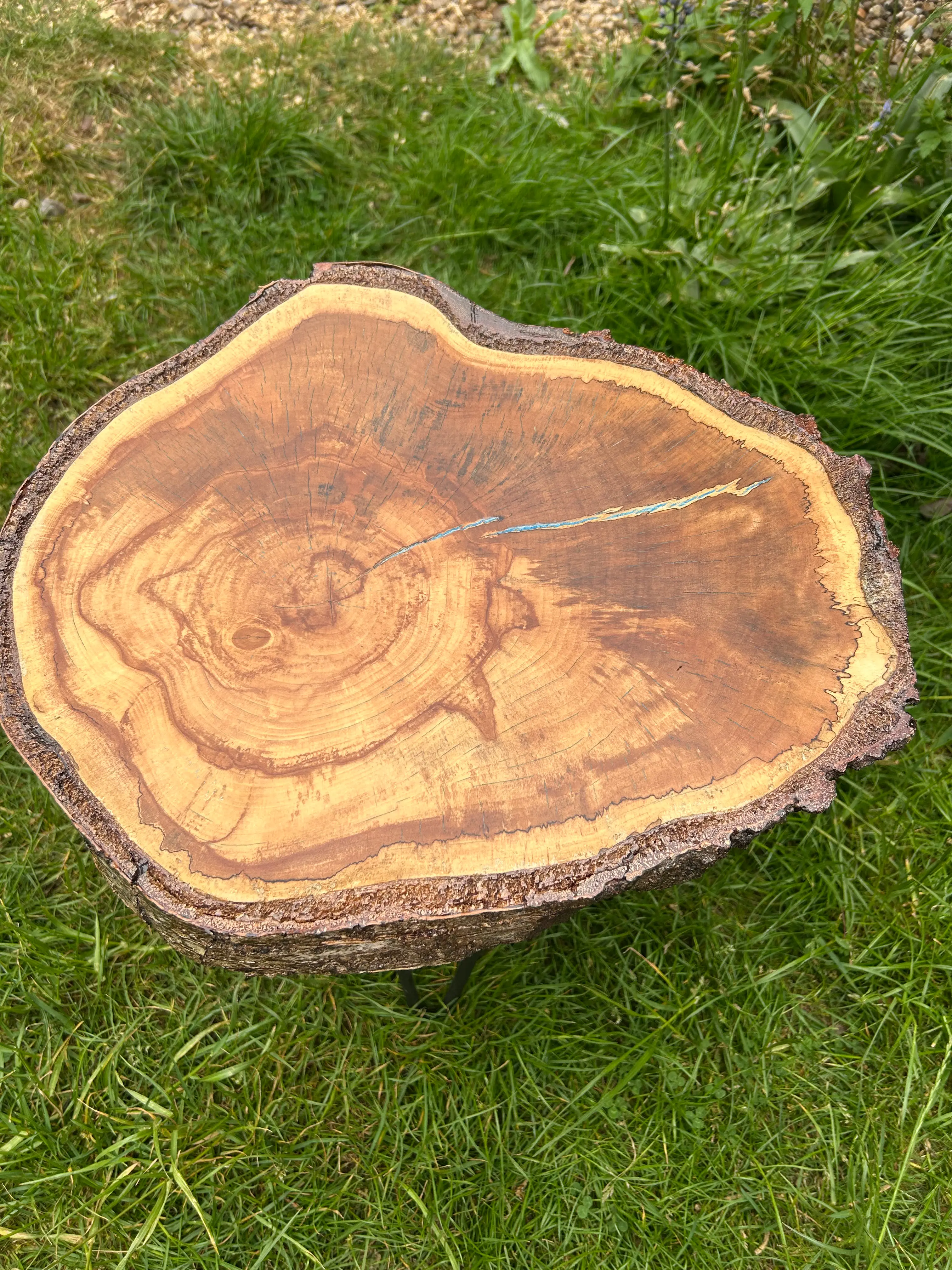 Silver Birch Spalting Table - Image 1